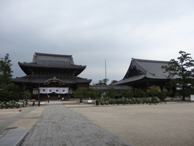 ��C������_���c�{�R��C��