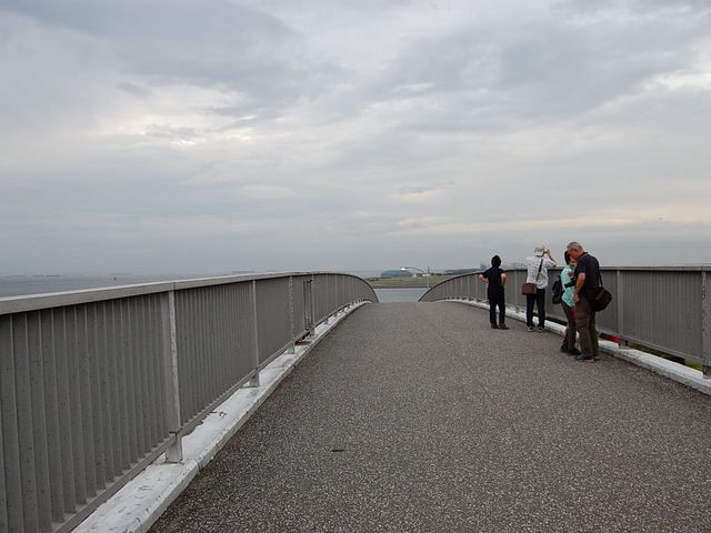 ���̏�A���H�݂����ł��B_���̓��勴