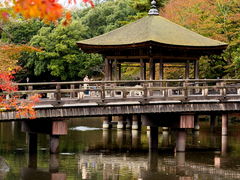 �������̎ʐ^1