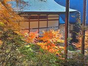 ߂߂񂳂̈yi쌧csj̓eʐ^2