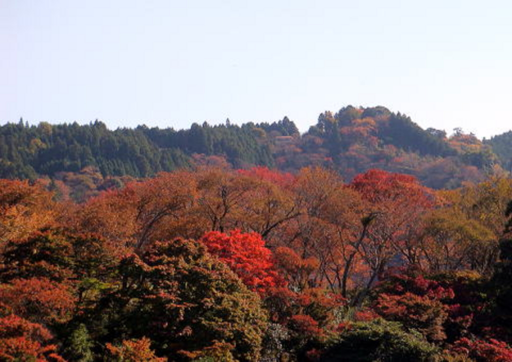 吉野山