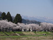 chi-chi-̕Oؓ̃\CVm̓eʐ^3