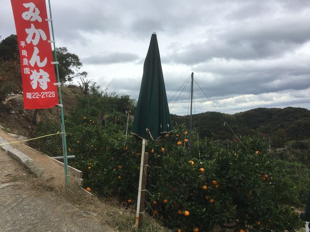 �܂��Ă܂������A�������ɂ͊C�������܂�_�����_��