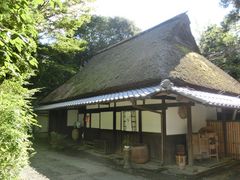 �܂܂ς񂾂���̊�������������̋��ւ̓��e�ʐ^1