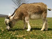 Qmatsuyȃn[gh̓eʐ^2