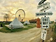 ShuWILDBEACH؍XÂ̓eʐ^2