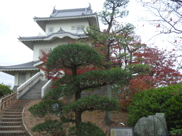 �g�V���[����̋R����y�ېՂ̓��e�ʐ^1