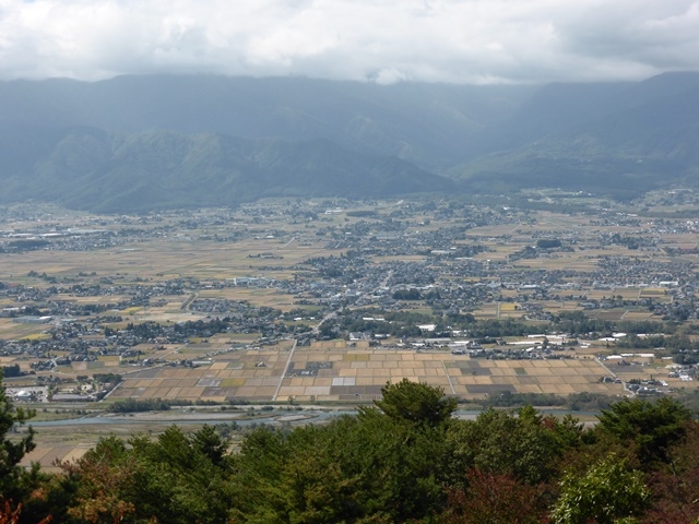 �쐼����_����R�x�e�W�]��