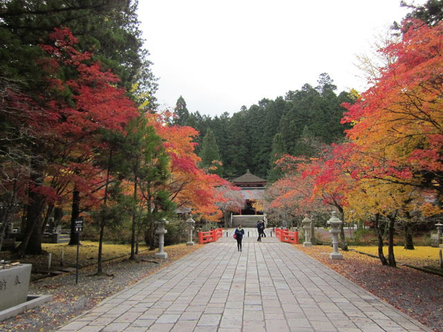 ����_����R