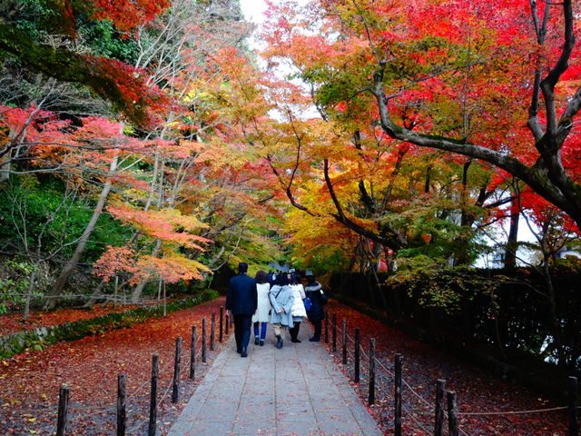 �������̂��݂�_�������̂��݂�