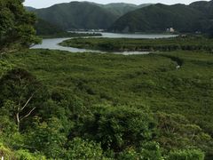 obV[̃}O[uJk[c[Oւ̓eʐ^1