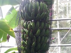 ݂ق̔Moiijւ̓eʐ^2