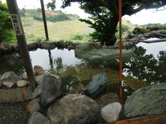 satotanaさんの枕崎なぎさ温泉の投稿写真2