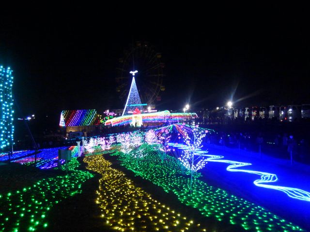 �����h�C�c��