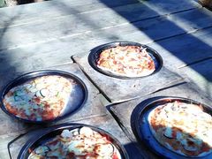 kasakooh̃t@[}[Yq(ނ)ւ̓eʐ^1