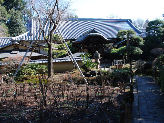 Ƃ悵5525̖򉤉@̓eʐ^1