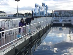 よく釣れます 横浜 八景島シーパラダイスの口コミ じゃらんnet