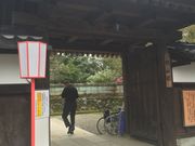 ɂނ̕xRٕف@_̊ف@R@̓eʐ^2