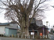 �g�V���[����̐{��_�Ђ̑�P���L�̓��e�ʐ^1