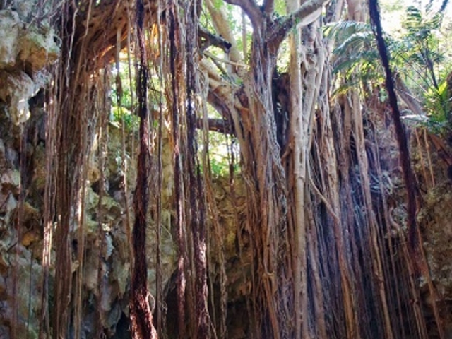 ���K�W���}��_�K���K���[�̒J