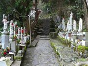 �}�b�N����̕�R���i����V�j�̓��e�ʐ^18