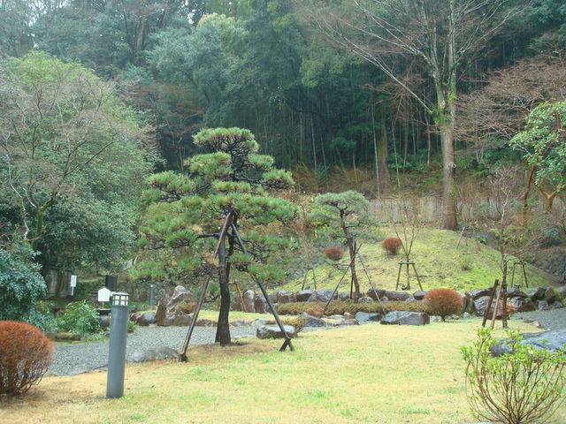 �뉀_�������͌����p��