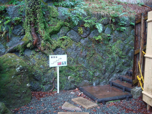 �W�]��ւ̊Ŕ�_�������͌����p��