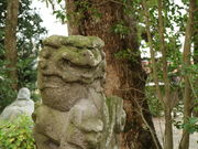 �ӂ�����5525����̌F��_�Ђ̓��e�ʐ^5