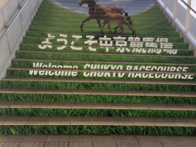 �������n��