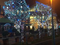 񂿂񂳂̃GXpXh[vUւ̓eʐ^2