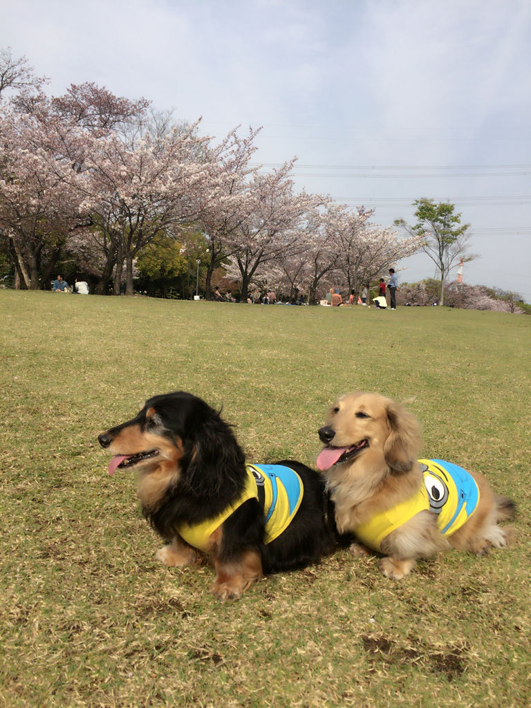 愛知の公園 庭園ランキングtop10 じゃらんnet