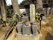 kingtut̒|q̓̕eʐ^1