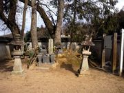 kingtut̒|q̓̕eʐ^2