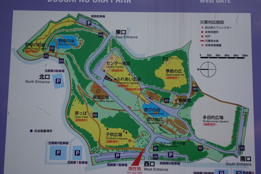 座間駅周辺の公園・庭園ランキングTOP10 - じゃらんnet