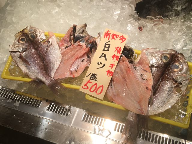 �����Y�{�X �l�Ă��o�[�x�L���[