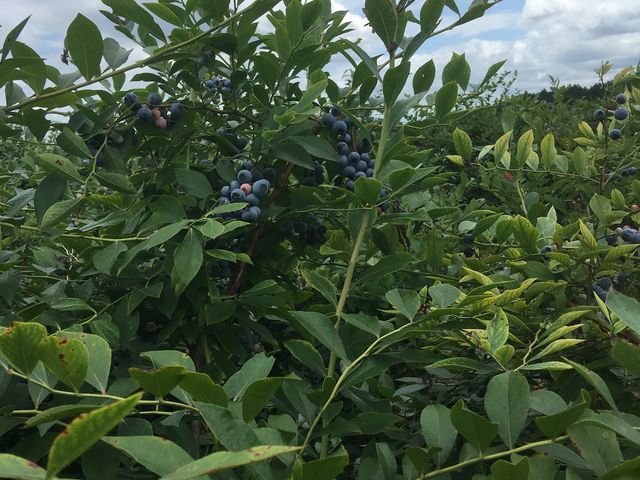 ���������̂�