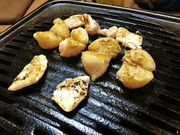 肦񂳂̌{X R{̓eʐ^4