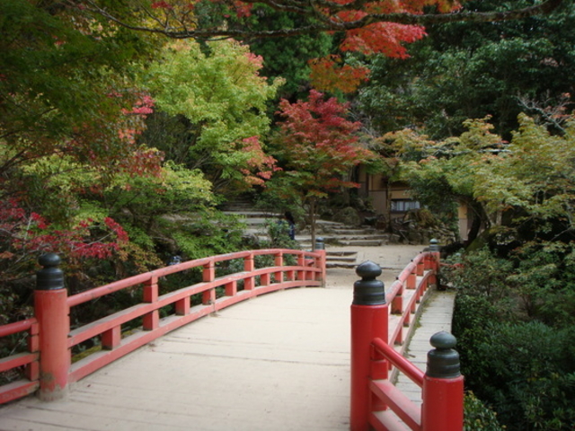 �g�t�J����_�g�t�J����