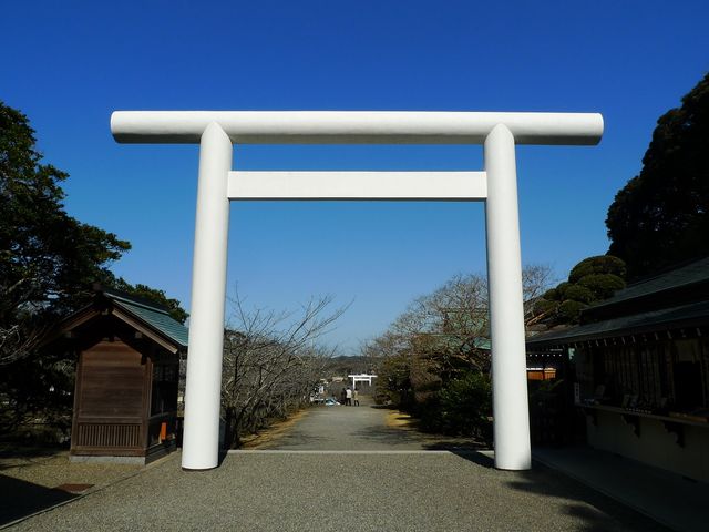 石の鳥居と桜並木_安房神社（千葉県館山市）