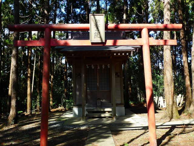 ���̉@_���^��