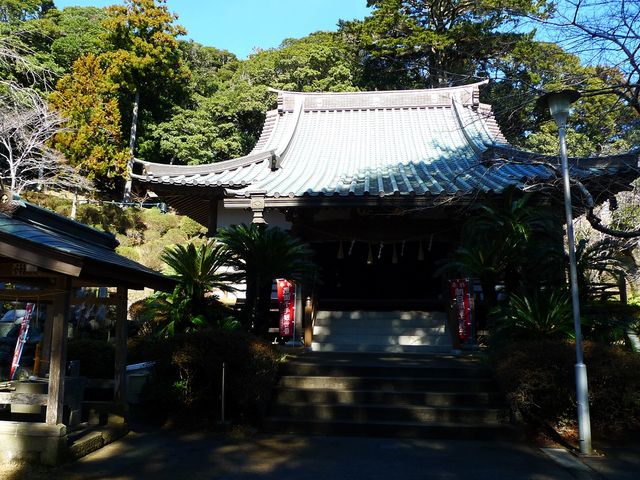 �ω���_�^�쎛