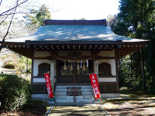 �����_��_�^�쎛