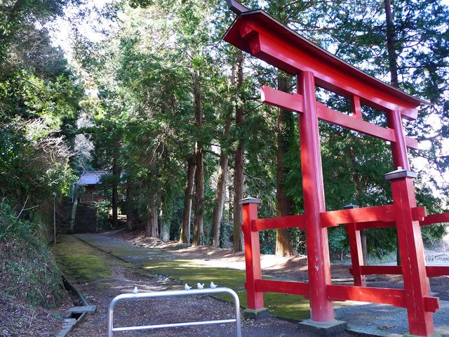 �����ƎQ��1_��ΐ_��