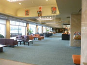 悿񂳂̕҂̓̓eʐ^2