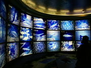 nj[Zu̎ΎRكSrEX̓eʐ^1