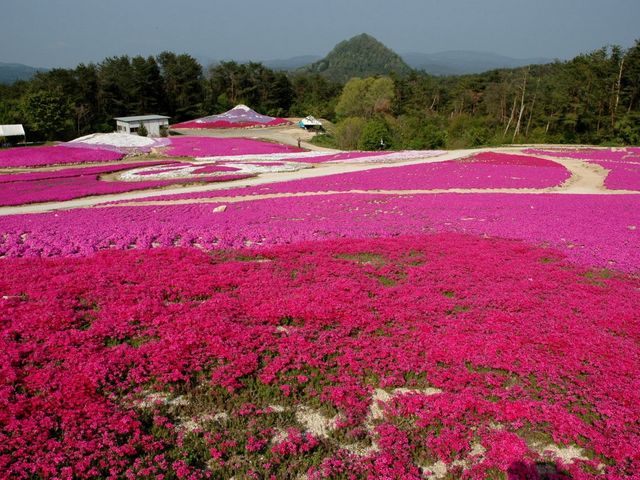 Flower village 花夢の里】アクセス・営業時間・料金情報 - じゃらんnet