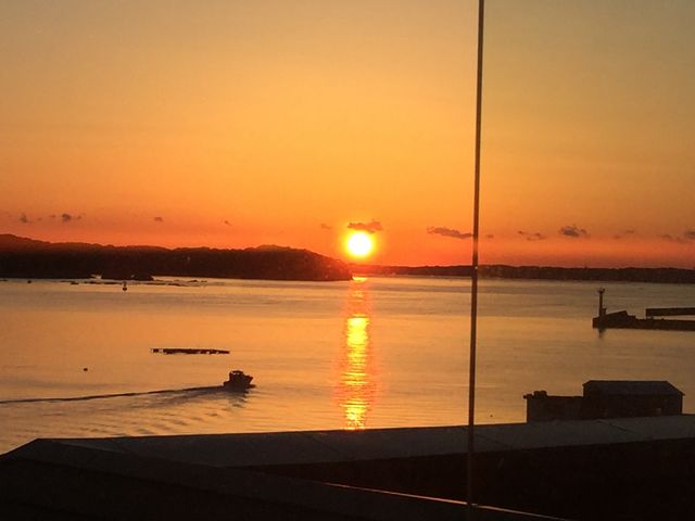 񂳂̑]ˉ򕨌 ɐu̓eʐ^1