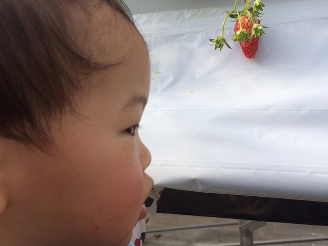 ȂɏȂāBƌ炢B
nEXo̊J͂Ȃ_߂䕉