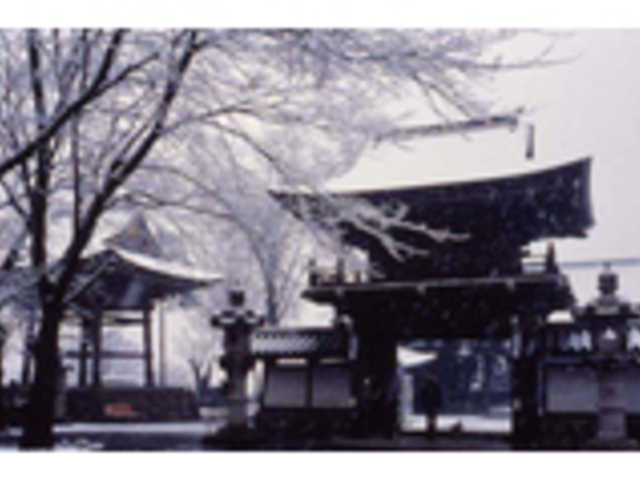 �䂤����̍��q���̓��e�ʐ^1