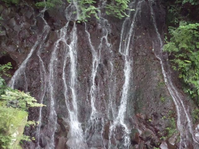 ��_���|�̑�